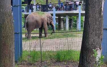 WhatsApp Image 2026-06-09 at 15.55.40 (6).jpeg
