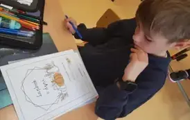 19