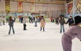 WhatsApp Image 2026-02-13 at 15.08.27
